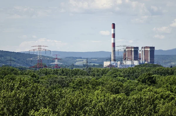 Riparian Forest Never Put Operation Nuclear Power Station Zwentendorf Austria — Stock Photo, Image