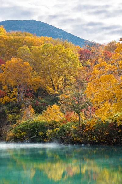 Autumn Forest Onsen Jezero Jigoku Numa Hakkoda Aomori Tohoku Japonsko — Stock fotografie