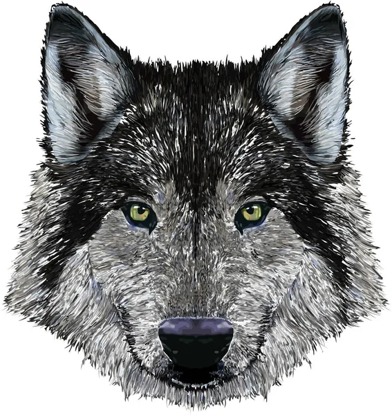 Artic Wolf Hoofd Wild Dier Illustratie — Stockfoto