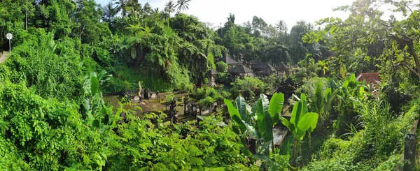 Vista Templo Gunung Kawi Bali Indonésia — Fotografia de Stock