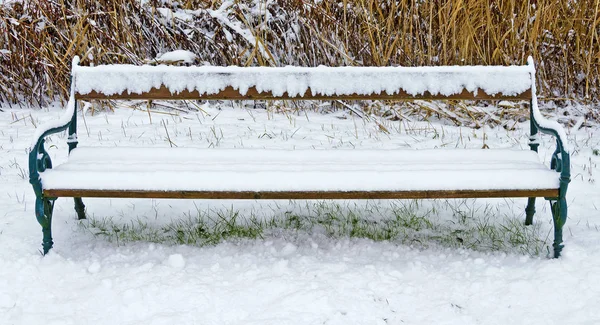 Banco Jardim Nevado Cercado Por Neve Bath Tatzmannsdorf Áustria — Fotografia de Stock