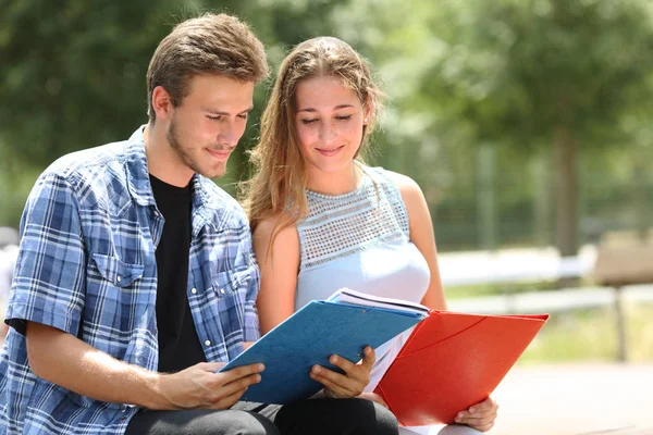 Dos Estudiantes Concentrados Estudiando Juntos Leyendo Notas Parque Del Campus —  Fotos de Stock