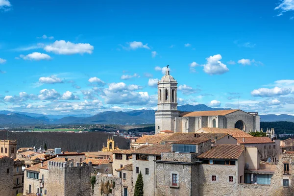 Kilátás Lenyűgöző Katedrális Girona Spanyolország — Stock Fotó