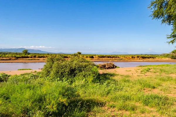 Вид Реку Эвасо Нгиро Саванне Парка Самбуру Центральной Кении — стоковое фото