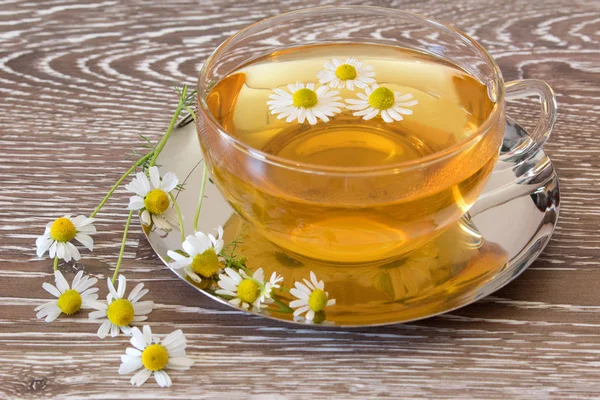 Cup Chamomile Tea Fresh Blossoms — Stock Photo, Image