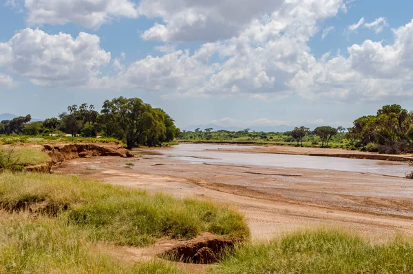 Utsikt Över Floden Ewaso Iro Savannen Samburu Park Centrala Kenya — Stockfoto