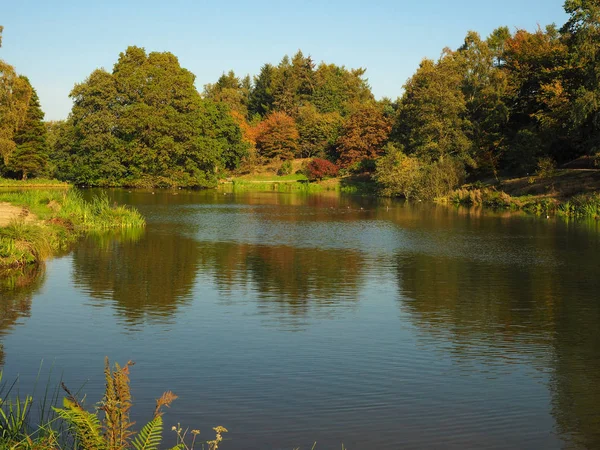 Lago Cercado Por Árvores Com Folhagem Outono Yorkshire Arboretum North — Fotografia de Stock