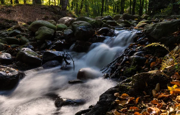 Časová Expozice Řeky Ilsefaelle Německém Regionu Harz Podzim — Stock fotografie