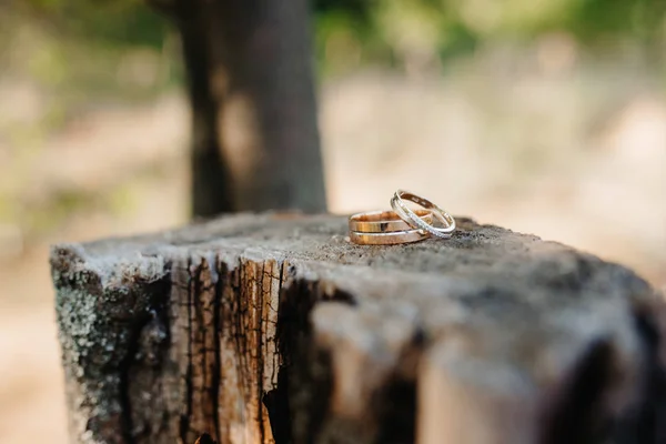 Nikah Yüzükleri Düğün Dekoru — Stok fotoğraf