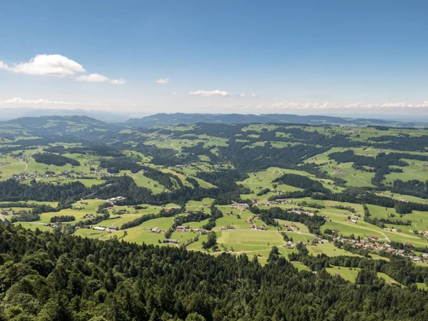 Krajobraz Łąka Las Góry Lesie Bregenckim Austria — Zdjęcie stockowe