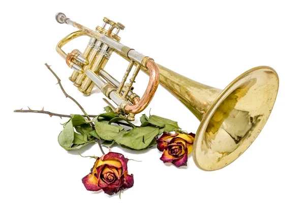 白に隔離された乾燥したバラと古い黄金の錆びたトランペット — ストック写真