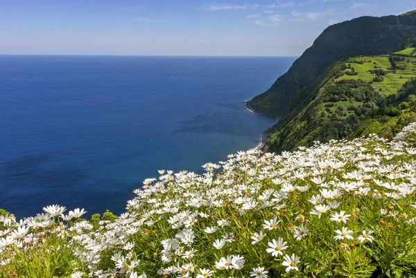 Litoral Leste Ilha São Miguel Açores — Fotografia de Stock