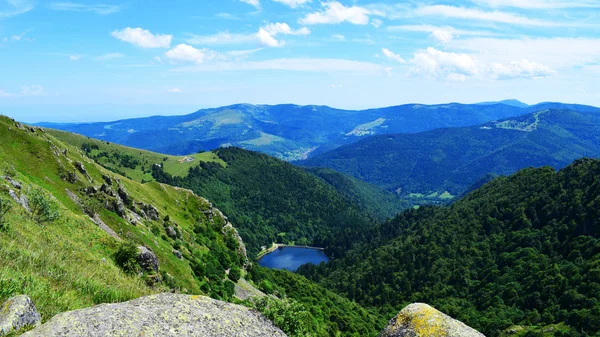 Alsace Espacially Vosges Feature Lot Small Lakes Lac Noir — Stock Photo, Image