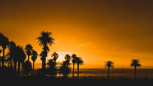 Sista Solstrålarna Träffar Den Berömda Stranden Camps Bay — Stockfoto