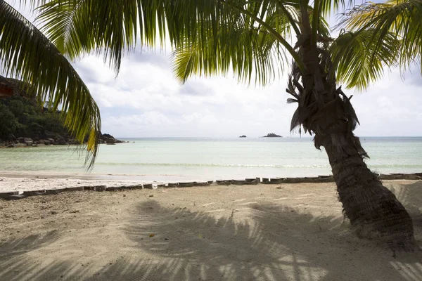 Tropická Krajina Ostrově Praslin Seychely — Stock fotografie