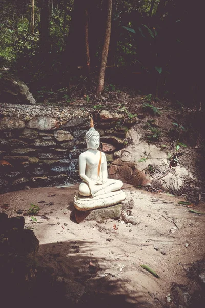 Άγαλμα Του Βούδα Στη Ζούγκλα Wat Palad Chiang Mai Ταϊλάνδη — Φωτογραφία Αρχείου