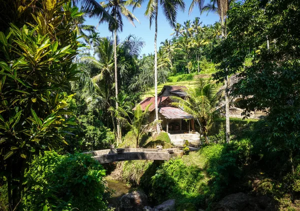 Tampilan Picturesque Dari Adegan Luar Ruangan — Stok Foto