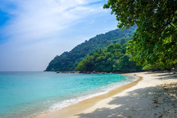 Turtle Beach Sanktuarium Wyspy Perhentian Terengganu Malezja — Zdjęcie stockowe