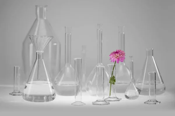 Variëteit Van Gedeeltelijk Gevuld Laboratoriumglaswerk Met Inbegrip Van Een Bloemkop — Stockfoto