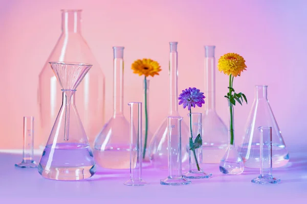 Részben Töltött Laboratóriumi Üvegáruk Fajtája Beleértve Néhány Virágfejet — Stock Fotó