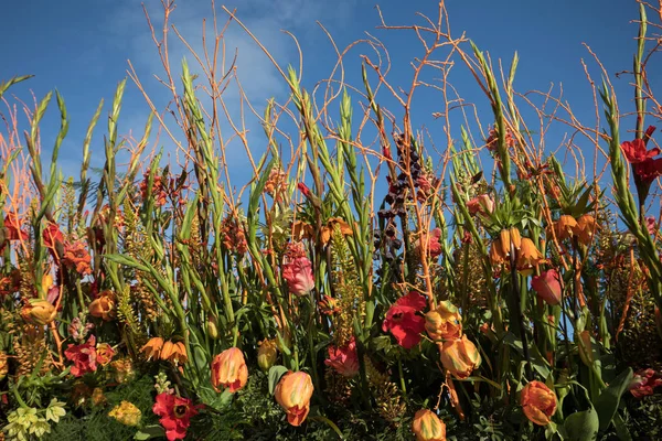 Floristische Dekoration Mit Tropischen Blumen Vor Blauem Himmel — Stockfoto