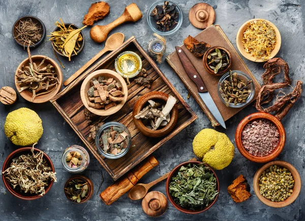 Set Healing Herbs Plants Medicinal Roots Herbal Medicine Healing Herbs — Stock Photo, Image