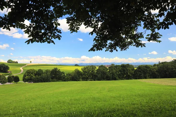 Gottesberg Salvatorianer Bad Wurzach Ist Eine Stadt Bayern Mit Vielen — Stockfoto