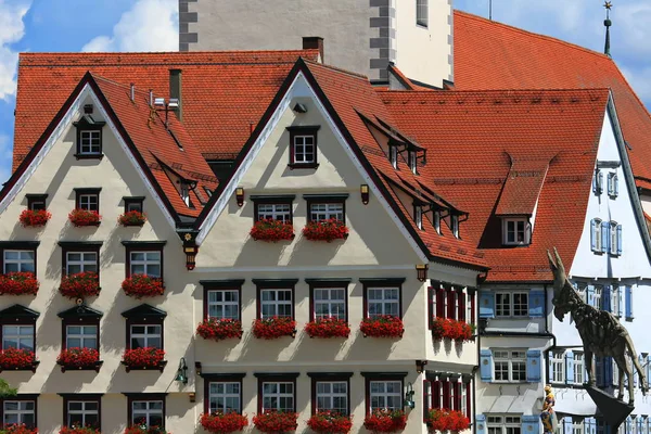 Biberach Town Allemagne Allemagne Avec Nombreuses Attractions Historiques — Photo