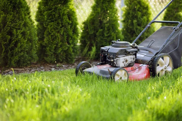 Tondeuse Gazon Coupe Herbe Verte — Photo