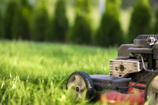 Lawn Mower Cutting Green Grass — Stock Photo, Image