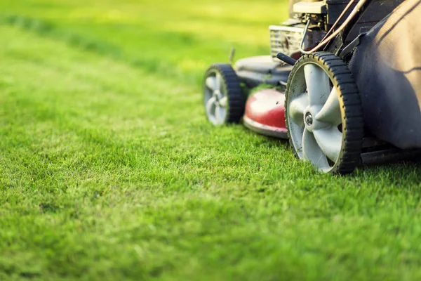 Lawn Mower Cutting Green Grass — Stock Photo, Image