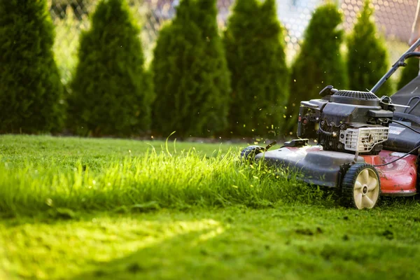 Lawn Mower Cutting Green Grass — Stock Photo, Image