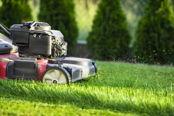 Çim Biçme Makinesi Yeşil Çimleri Kesiyor — Stok fotoğraf