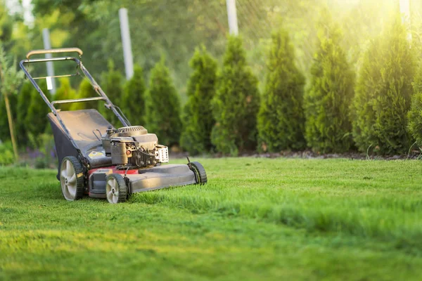 Lawn Mower Cutting Green Grass — Stock Photo, Image