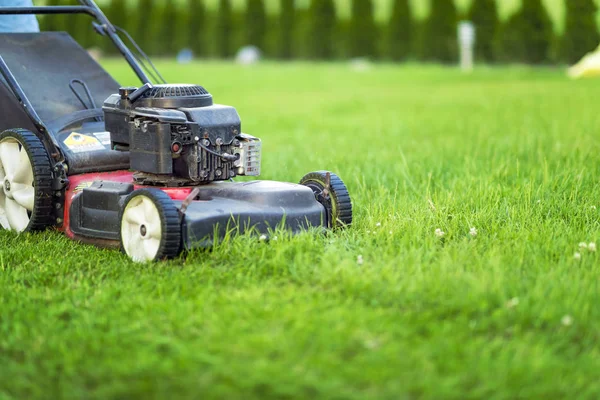 Lawn Mower Cutting Green Grass — Stock Photo, Image