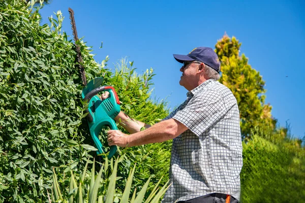 Elektrische Tuingereedschap Een Professionele Tuinman Snijdt Een Hedge Met Een — Stockfoto