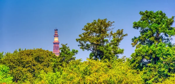 Groen Deel Van New Delhi Met Qutb Minar Toren Achtergrond — Stockfoto