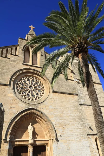 Cattedrale Sant Jaume Vicino Muro Del Castello Romano Alcudia Maiorca — Foto Stock
