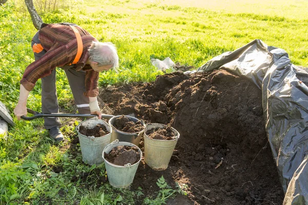 Anciano Trabajando Jardín Poner Fertilizante Orgánico Cubos — Foto de Stock