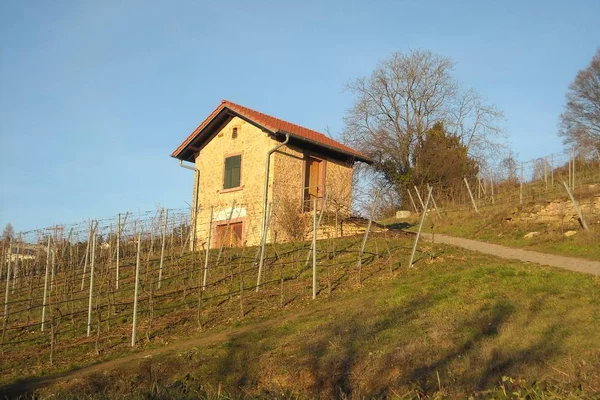 Andere Architektur Selektiver Fokus — Stockfoto