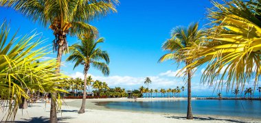 The Round Beach at Matheson Hammock County Park Miami Florida clipart