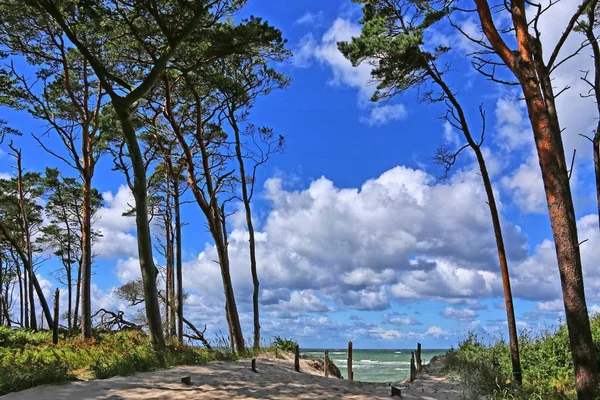 Una Riserva Naturale Area Protetta Importanza Flora Fauna Caratteristiche Interesse — Foto Stock