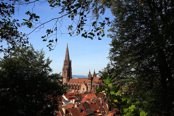 Malerischer Blick Auf Städtische Gebäude — Stockfoto