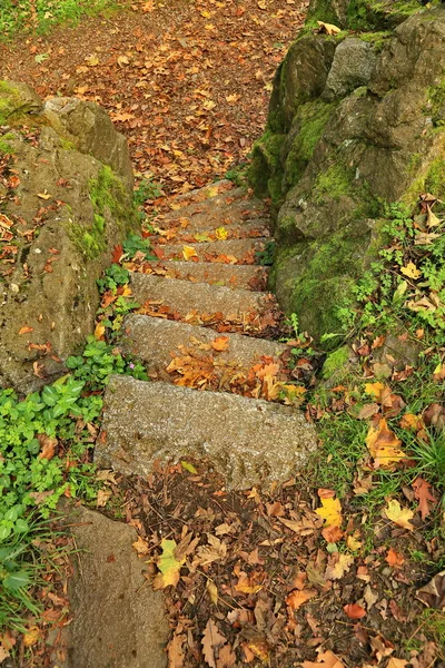 Schlossberg Freiburg Una Ciudad Alemania Con Muchas Atracciones Históricas — Foto de Stock