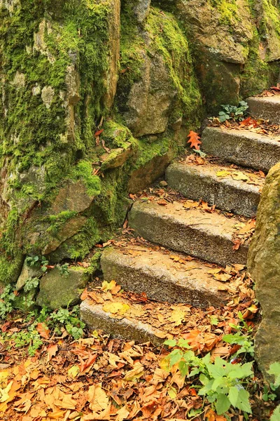 Schlossberg Freiburg Een Stad Duitsland Met Vele Historische Attracties — Stockfoto