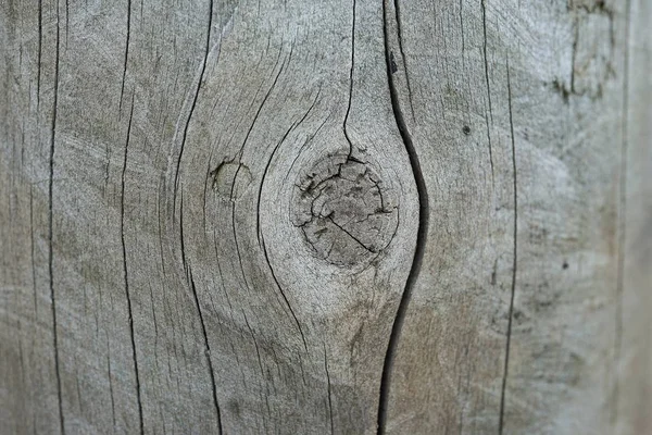 Tekstura Drewniana Tapeta Tła — Zdjęcie stockowe