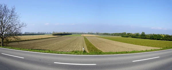 Widok Panoramiczny Krajobraz Polami Wzdłuż Drogi Wiejskiej Regionie Tullnerfeld Pobliżu — Zdjęcie stockowe