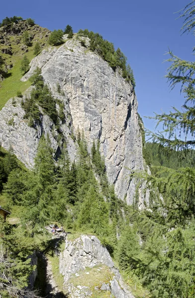 Penhasco Obstanser Prado Solo Nos Alpes Cárnicos Tirol Oriental Áustria — Fotografia de Stock