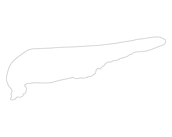 Mapa Schiermonnikoog Ilustracja Mapy Geograficznej — Zdjęcie stockowe