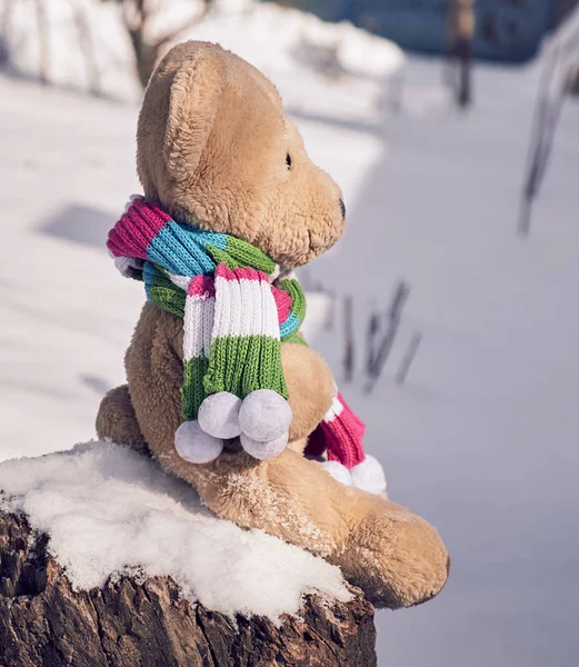 Teddy Maci Egy Sálban Egy Fatönkön Fehér Közepén Egy Téli — Stock Fotó